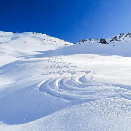 Apartment Soldanella *