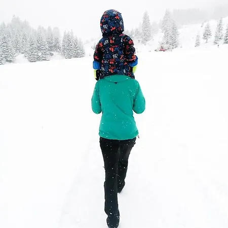 Soldanella Apartment Lech am Arlberg