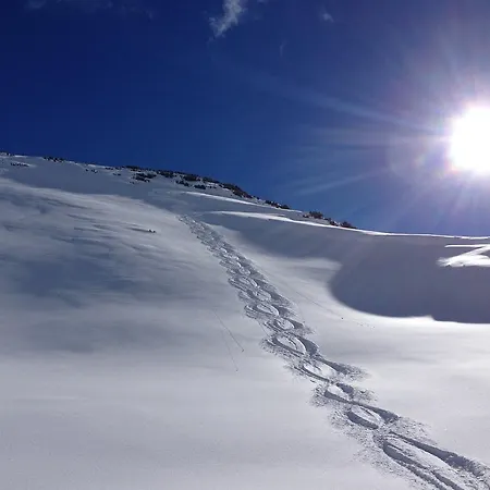 Apartment Soldanella